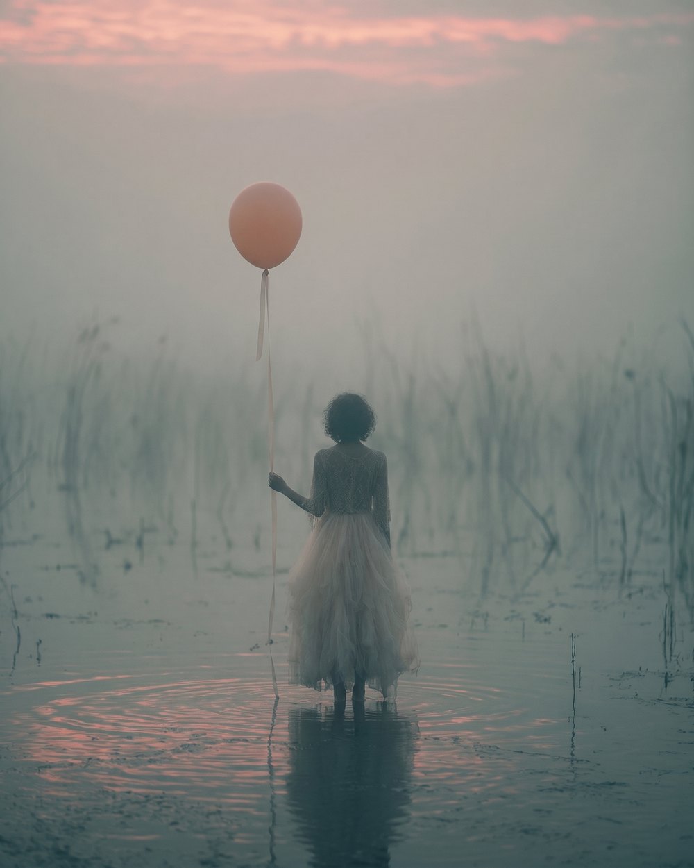 Balon nad mokradłem